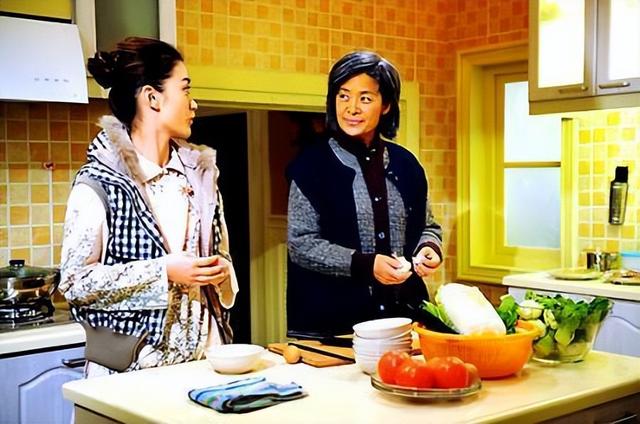 何琳和传志是什么电视剧的人物(《婆婆来了》:夺回嫁妆)